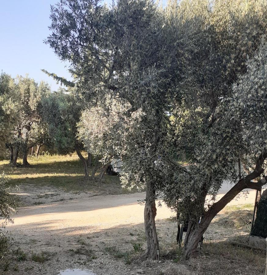 شقة Mas Vincent La Fare-les-Oliviers المظهر الخارجي الصورة